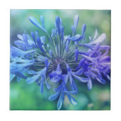 Lily van de Nijl Tegeltje (Voorkant)