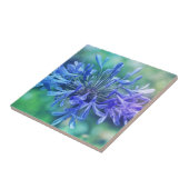 Lily van de Nijl Tegeltje (Zijkant)