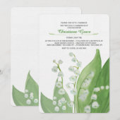 Lily van de uitnodiging van de vallei (Voorkant / Achterkant)