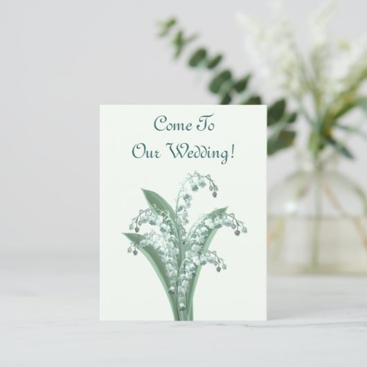 Lily van de uitnodiging van de vallei (Staand voorkant)