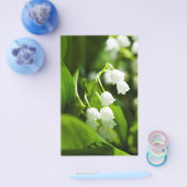 Lily van de vallebloem flyer (Enkel)