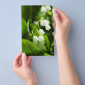 Lily van de vallebloem flyer (Hand)