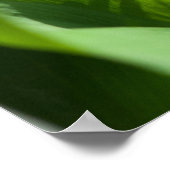 Lily van de vallebloem poster (Hoek)