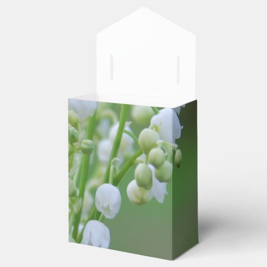 Lily van de vallei bedankdoosjes (Geopend)