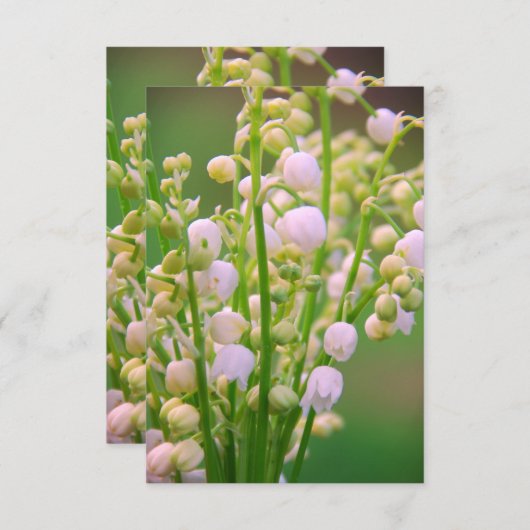 Lily van de vallei bedankkaart (Voorkant / Achterkant)