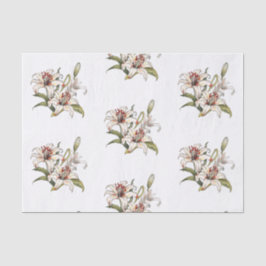 Lily van de vallei. Bloeiende oranje leliestam Tissuepapier