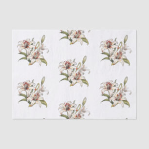 Lily van de vallei. Bloeiende oranje leliestam Tissuepapier