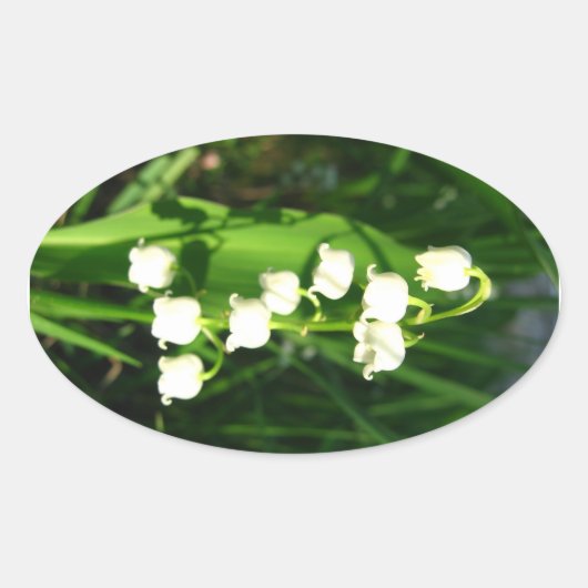 Lily van de vallei bloeit ovale sticker (Voorkant)