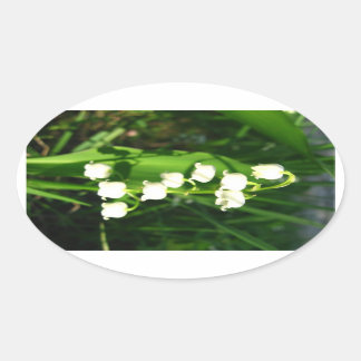 Lily van de vallei bloeit ovale sticker