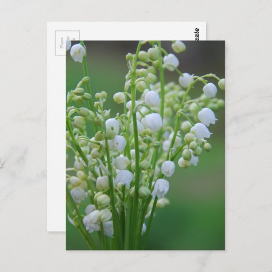 Lily van de vallei briefkaart (Voorkant / Achterkant)