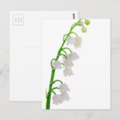 Lily van de vallei briefkaart (Voorkant / Achterkant)