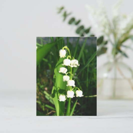 Lily van de vallei briefkaart (Staand voorkant)