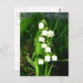 Lily van de vallei briefkaart (Voorkant / Achterkant)