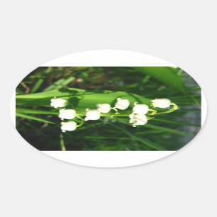 Lily van de vallei ovale sticker