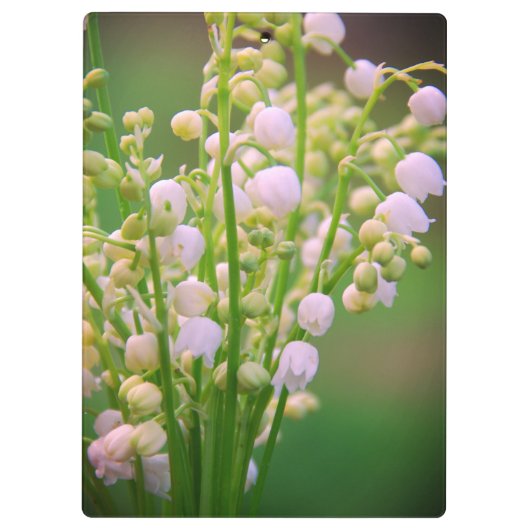 Lily van de vallei, personaliseer klembord (Achterkant)