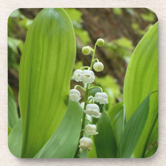 Lily van de Valley Bier Onderzetter (Voorkant)