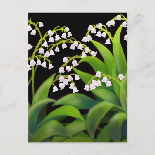 Lily van de Valley Briefkaart (Voorkant)
