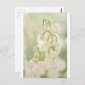 Lily van de Valley Briefkaart (Voorkant / Achterkant)
