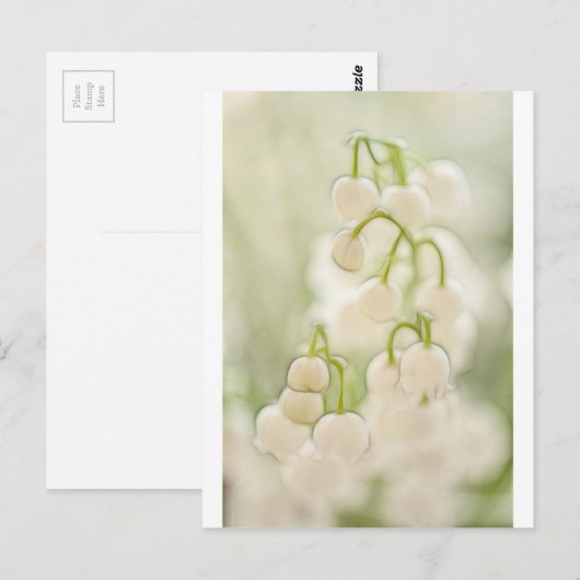 Lily van de Valley Briefkaart (Voorkant / Achterkant)