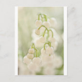 Lily van de Valley Briefkaart (Voorkant)