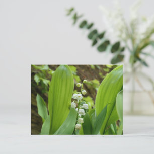 Lily van de Valley Briefkaart