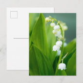 Lily van de Valley Briefkaart (Voorkant / Achterkant)