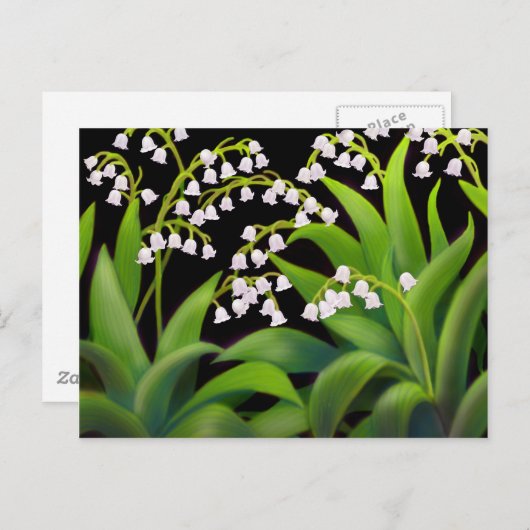 Lily van de Valley Briefkaart (Voorkant / Achterkant)