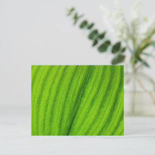 Lily van de Valley Briefkaart