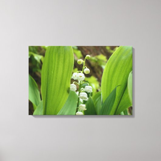 Lily van de Valley Canvas Afdruk (Voorkant)