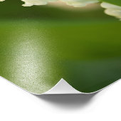 Lily van de Valley Flowers Foto Afdruk (Hoek)