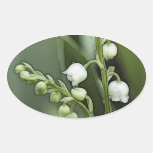 Lily van de Valley Flowers Ovale Sticker (Voorkant)