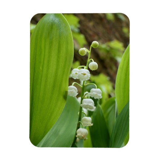 Lily van de Valley Magneet (Verticaal)