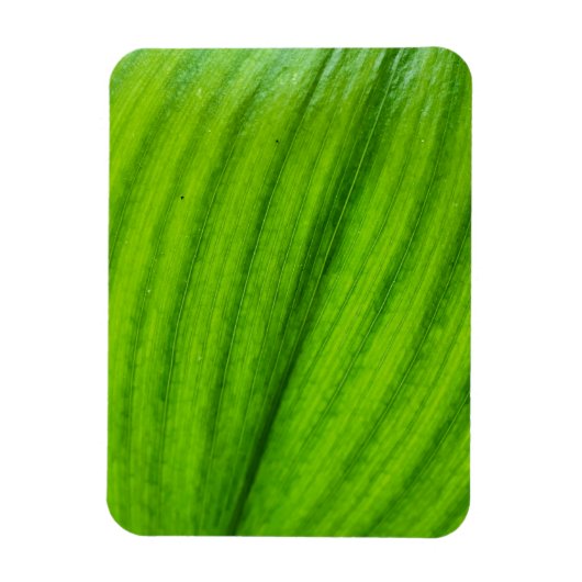 Lily van de Valley Magneet (Verticaal)