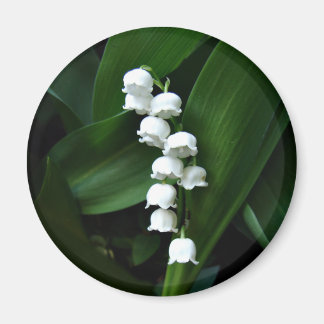 Lily van de Valley magnet