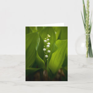 Lily van de Valley Note Kaart
