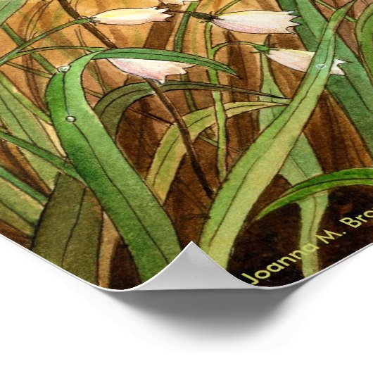 Lily van de Valley Poster (Hoek)