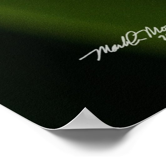 Lily van de Valley Poster (Hoek)