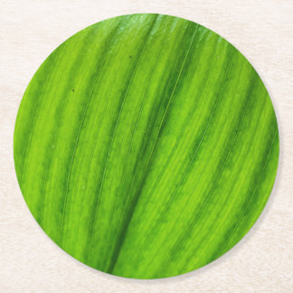 Lily van de Valley Ronde Kartonnen Onderzetter