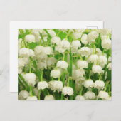 Lily van de Valley Spring Flowers Briefkaart (Voorkant / Achterkant)
