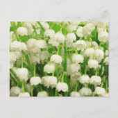 Lily van de Valley Spring Flowers Briefkaart (Voorkant)