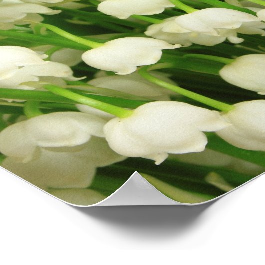 Lily van de Valley Spring Flowers Poster (Hoek)