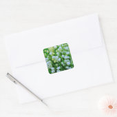 Lily van de Valley Spring Flowers Vierkante Sticker (Envelop)