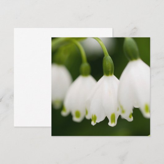 Lily van de Valley-uitnodigingen Kaart (Voorkant / Achterkant)