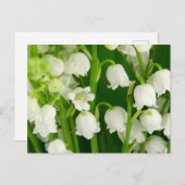 Lily van de Valley White Spring Flowers Briefkaart (Voorkant / Achterkant)