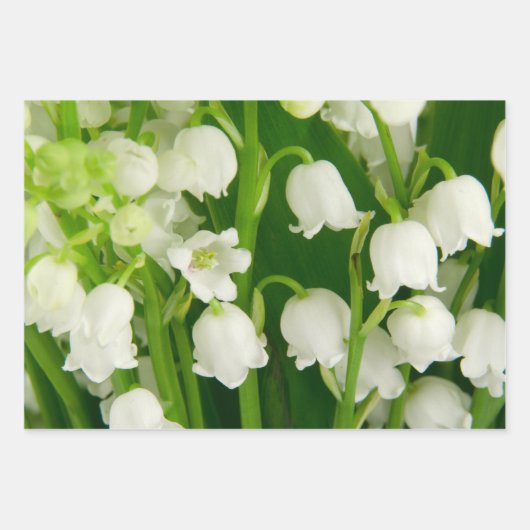 Lily van de Valley White Spring Flowers Inpakpapier Vel (Voorkant 3)