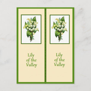 Lily van het Bladwijzer Valley Briefkaart