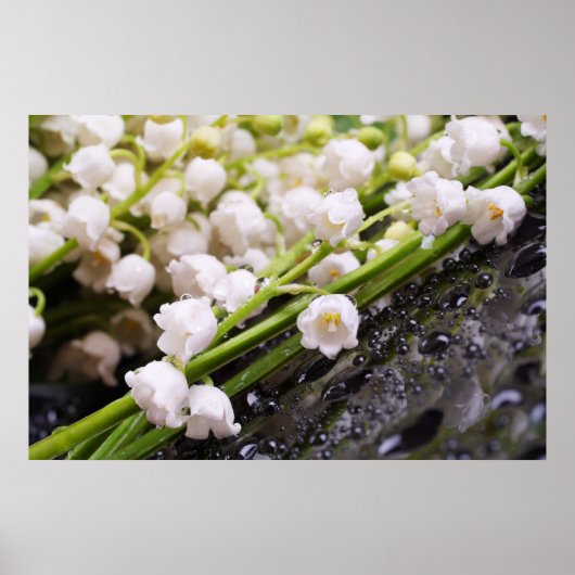 Lily van het Valley Poster (Voorkant)