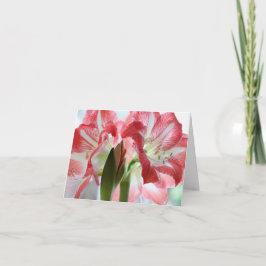 Lily Verigated All Occasion Folded Wenskaart Bedankkaart