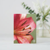 Lily Vertical Briefkaart (Staand voorkant)