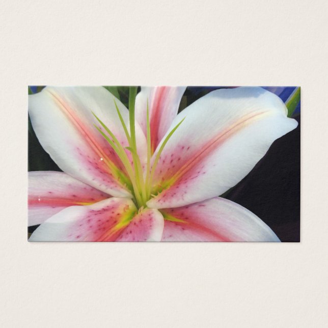 Lily Visitekaartjes (Voorkant)